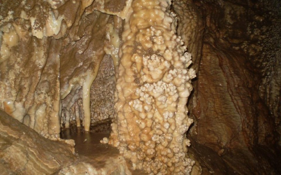 Rákóczi No. 1. Cave