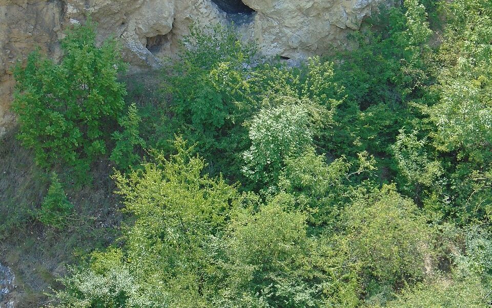 Róka-hegyi Füstös Cave