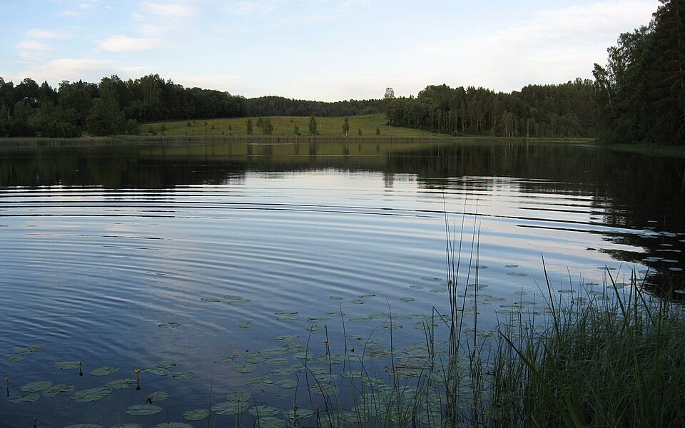 Valgjärv, Rõuge