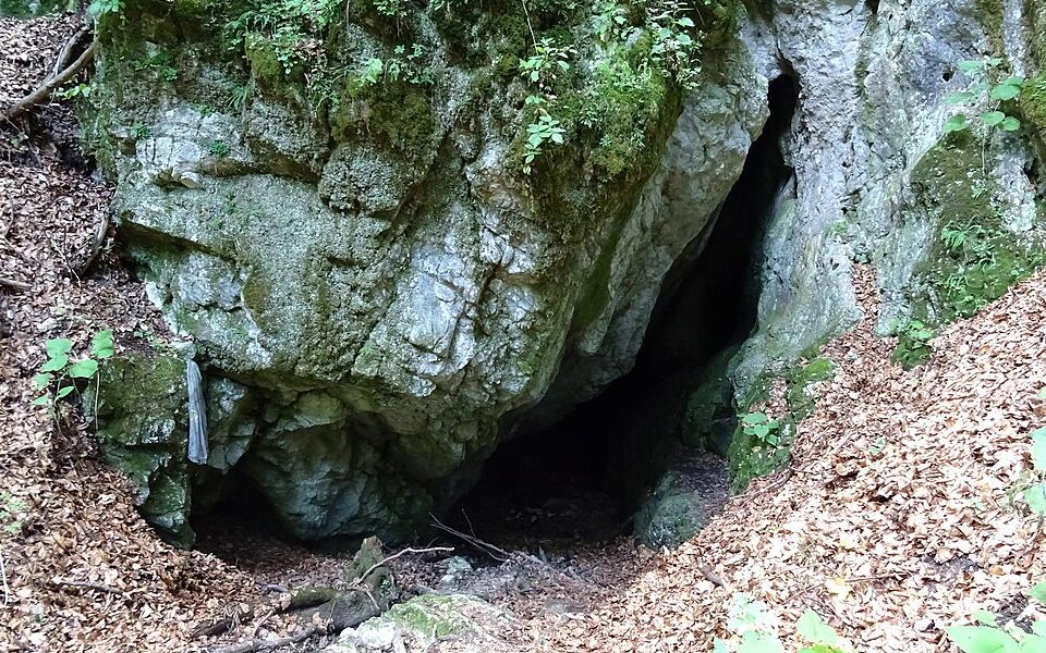 Râșnoavei cave