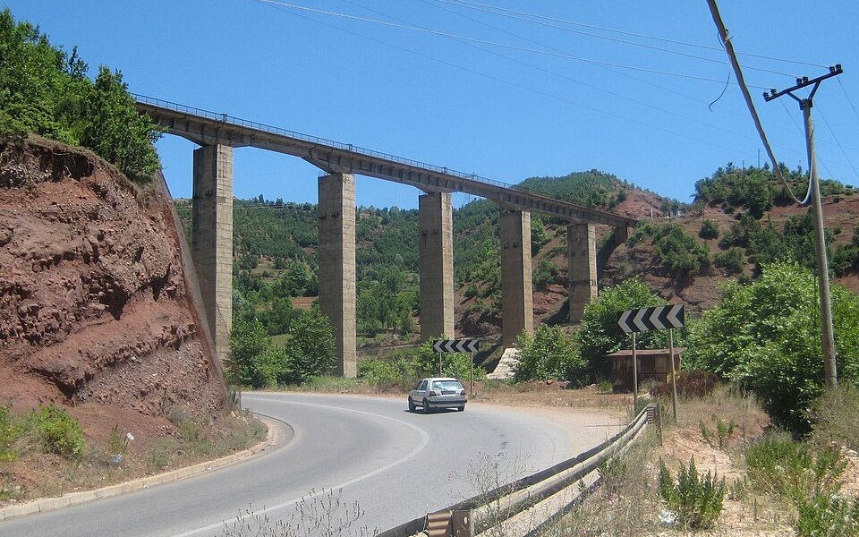 Bushtrica bridge