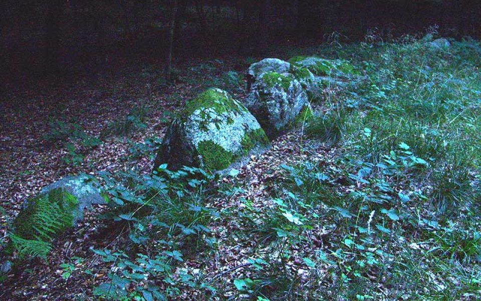 Großsteingrab Pinnesgrab