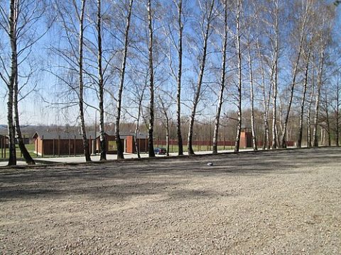 Photo: Gregok, Public domain, Wikimedia Commons