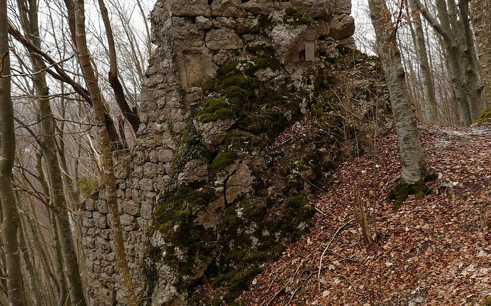 Ruine Ringelstein