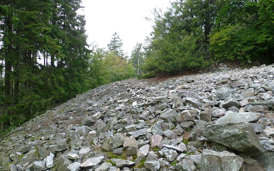 Keltenwall Altkönig