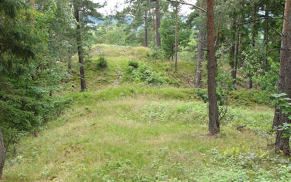 Ringwallanlage Förbau