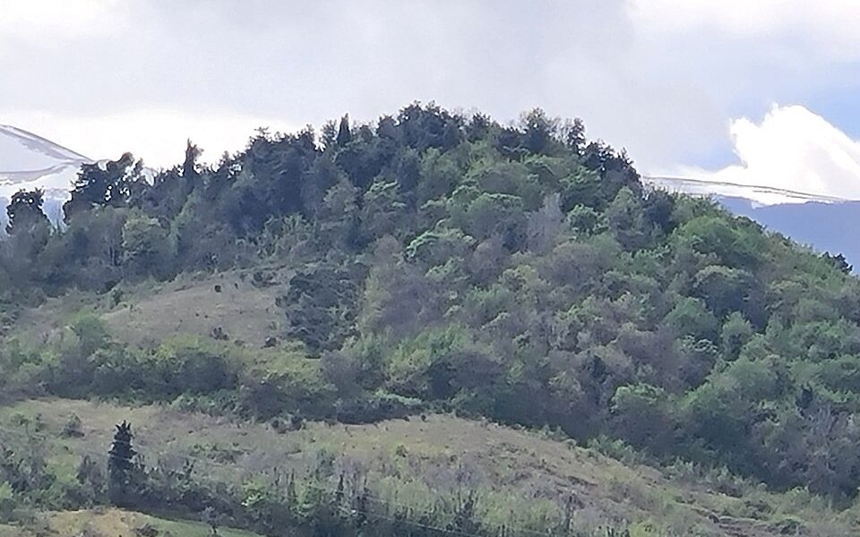 Rocca di Morro