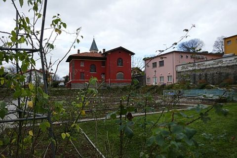 Photo: Wilrooij, CC BY-SA 4.0, Wikimedia Commons