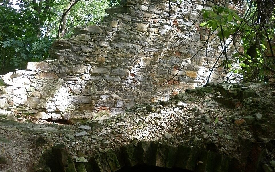 Neulust