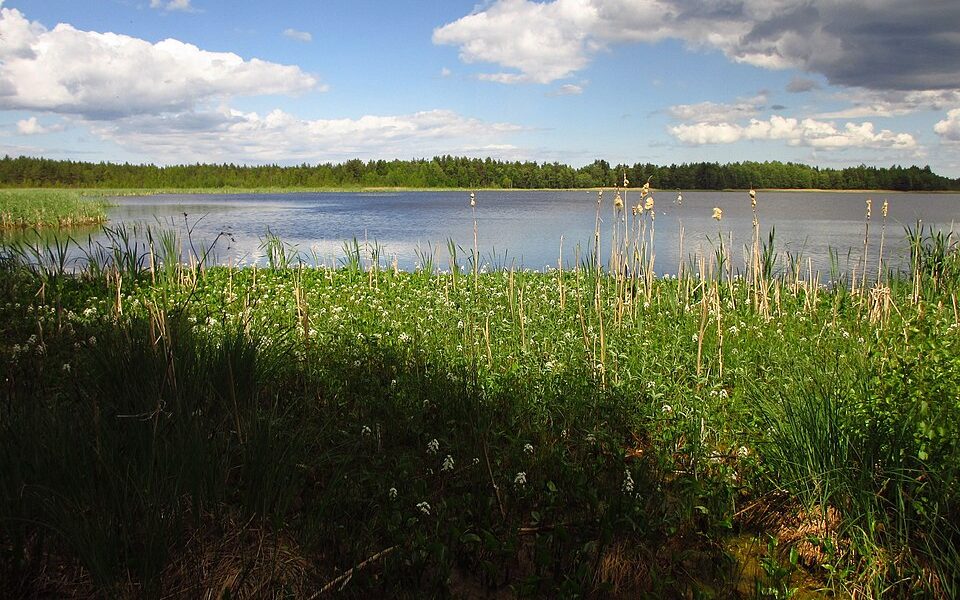 Lake Rummu