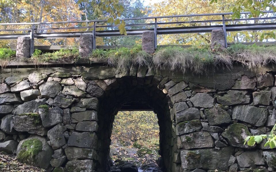 Sågbro
