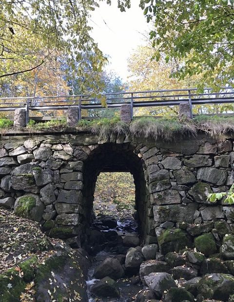 Photo: Jaakko.kulta, CC BY-SA 4.0, Wikimedia Commons
