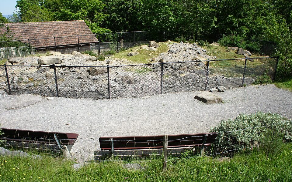 Wildpark Peter und Paul