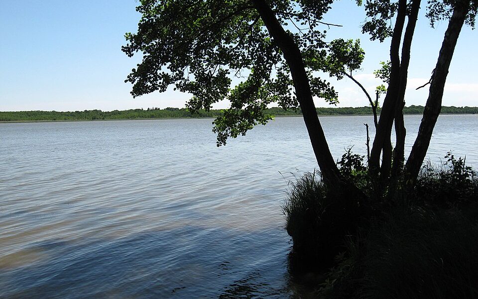 Sarbsko Lake