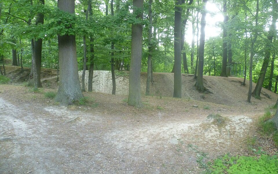 Schnepfenburg