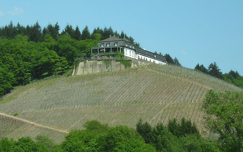 Weingut Schloss Saarstein