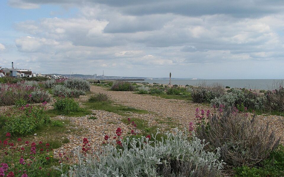 Shoreham Beach