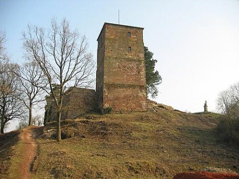 Photo: Johannes Simon, Public domain, Wikimedia Commons