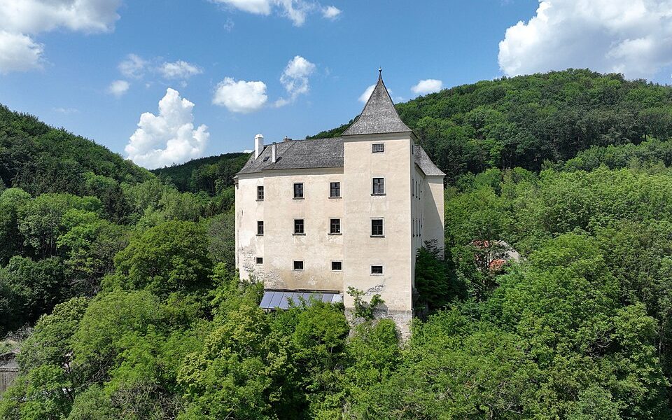 Wildegg Castle