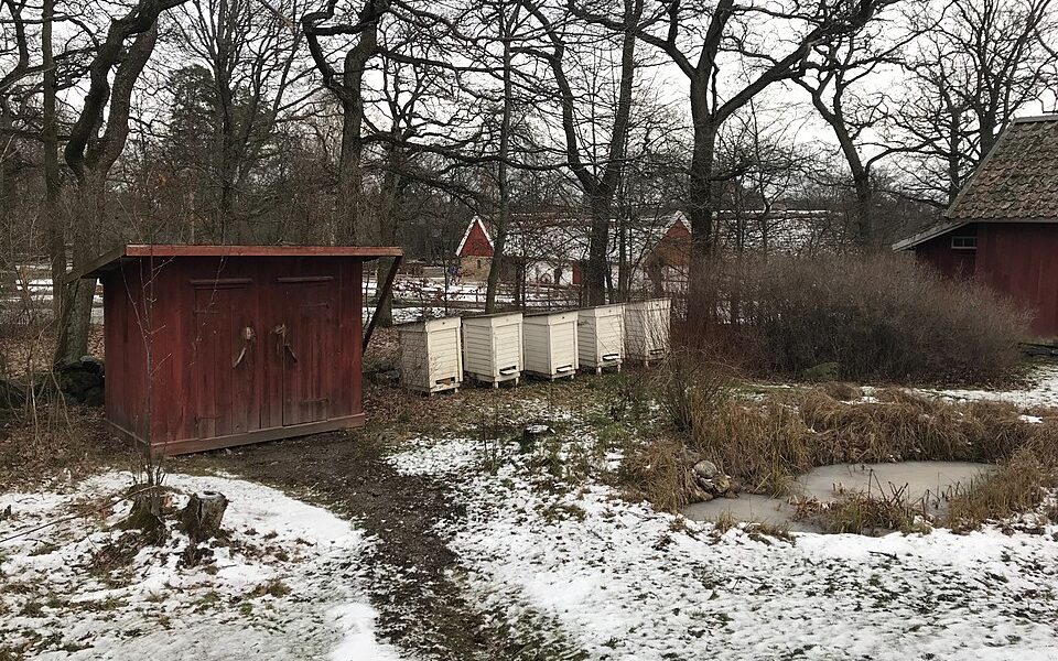 Dasset, Väla skola, Skansen