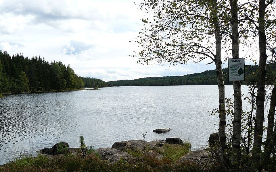 Skjærsjøen