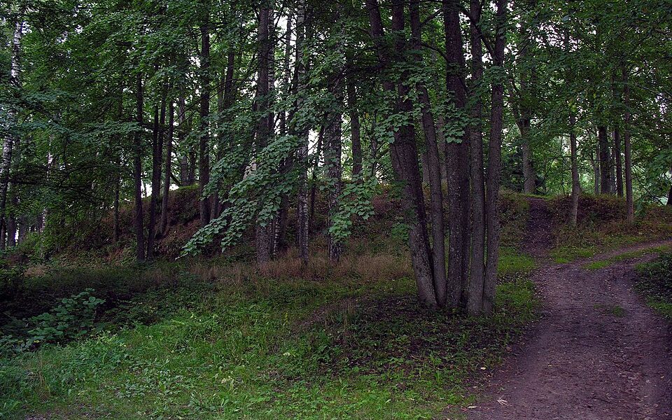 Hillfort Skomantų