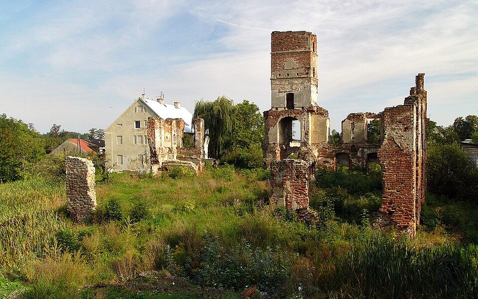 Castle in Smolec