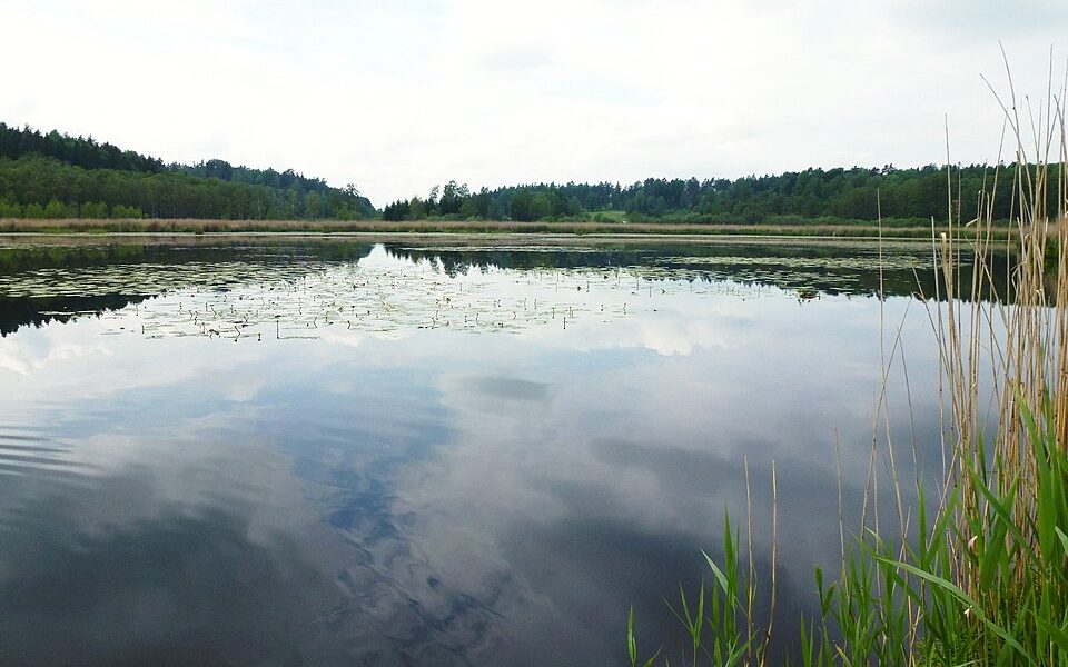 Somran