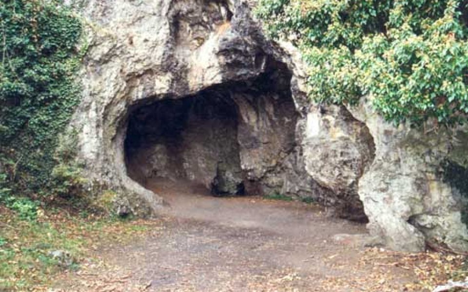 Spy Cave