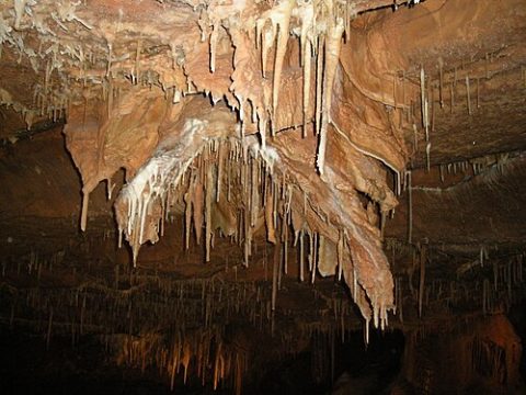 Photo: GaMip, CC BY-SA 3.0, Wikimedia Commons