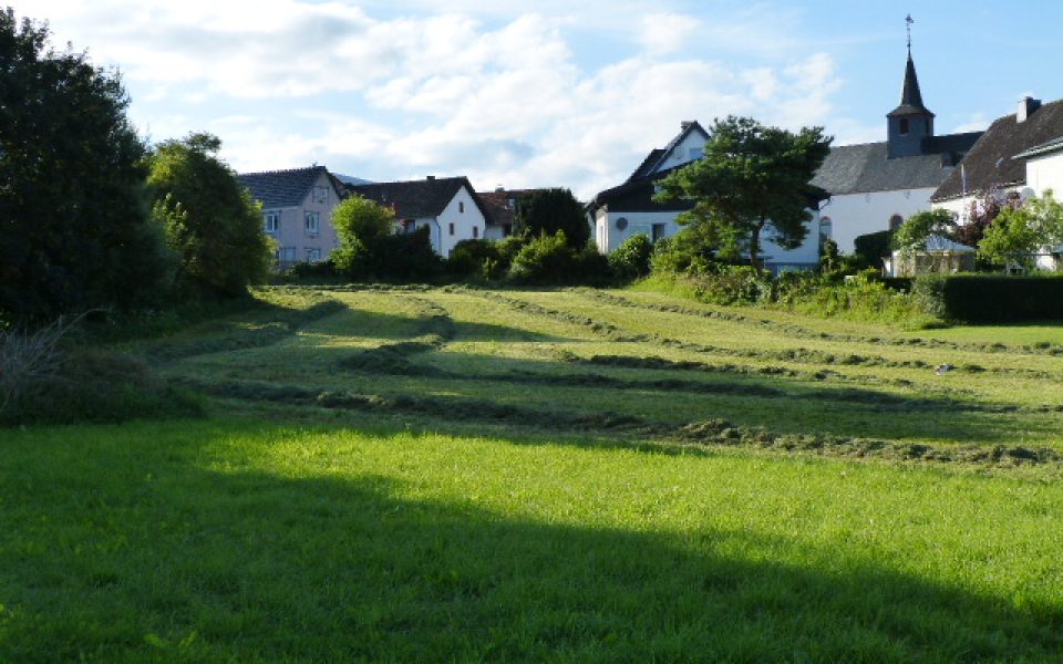 Burg Freilingen