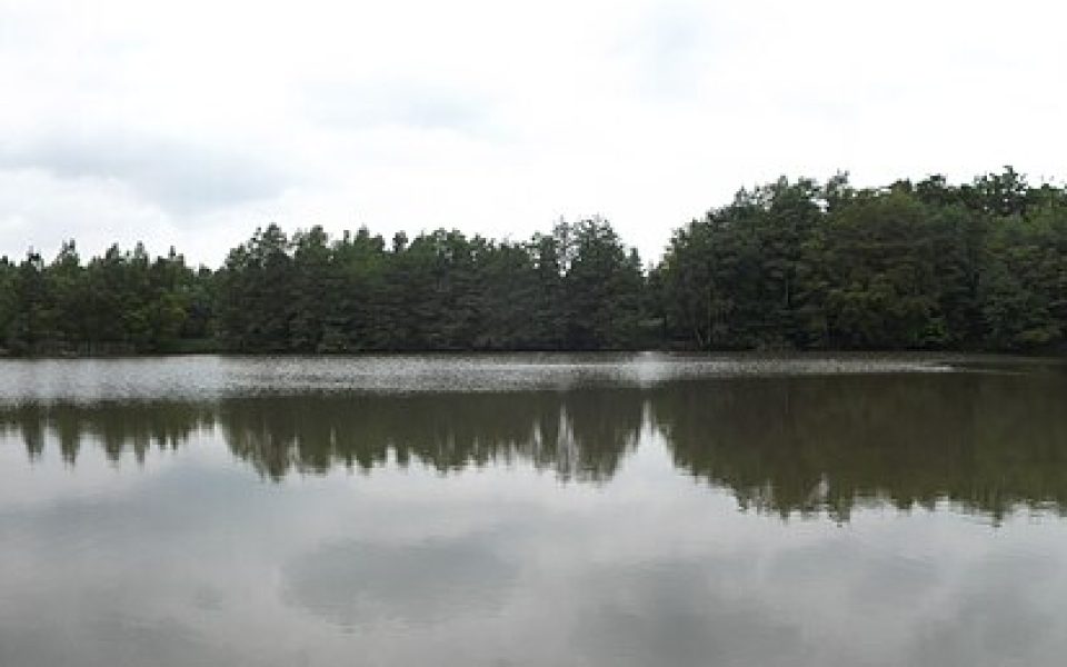 Stellbergsee
