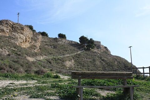 Photo: N.martinez.2017, CC BY-SA 4.0, Wikimedia Commons