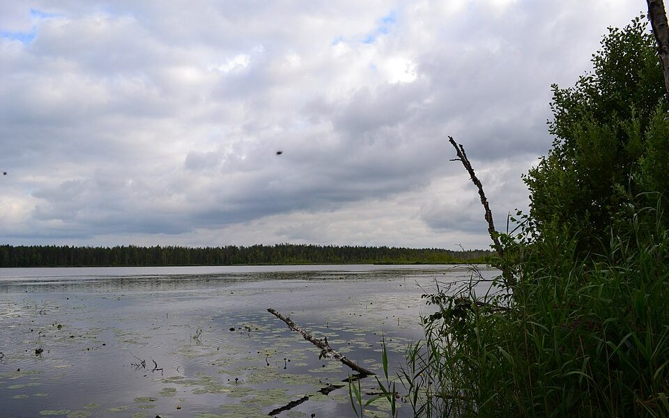 Suur Pehmejärv