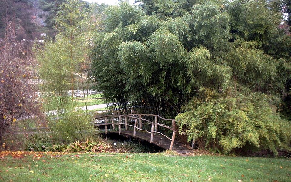 Botanischer Garten der Universität Tübingen