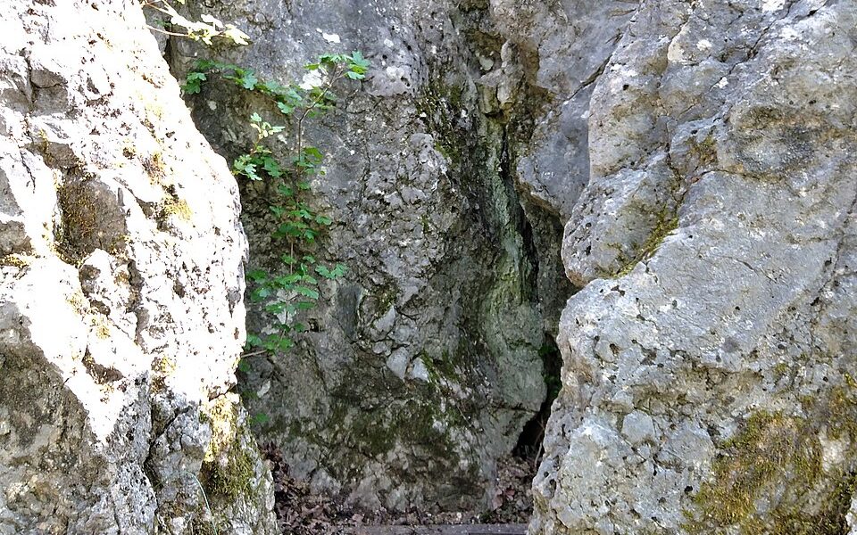 Tamás Cave