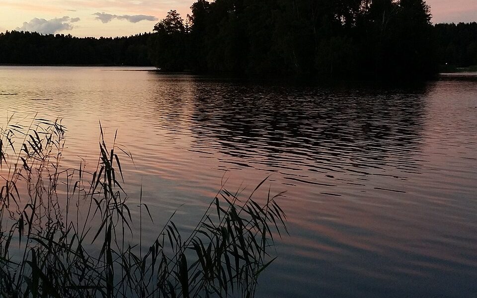 Tohloppi