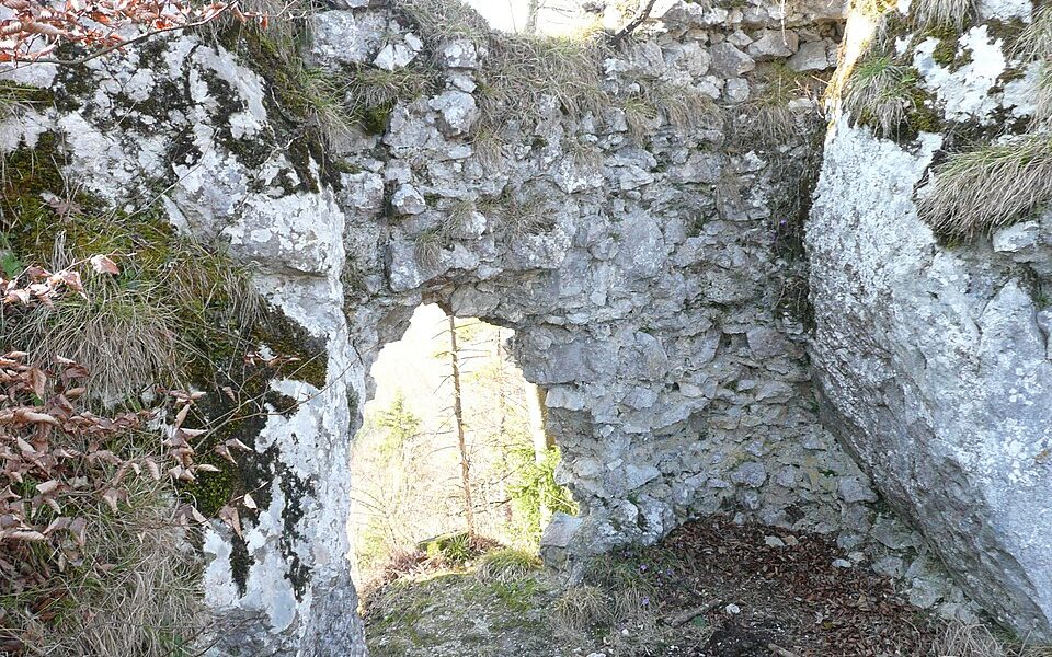 Burgruine Leonstein