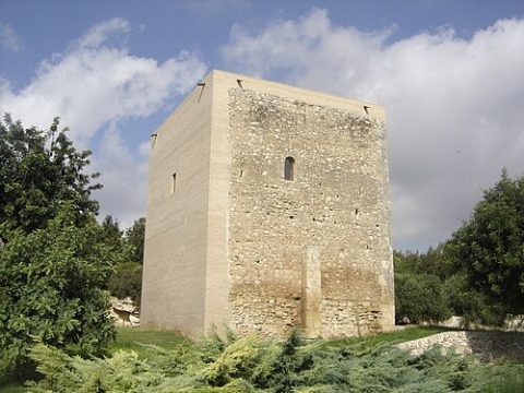 Photo: Lluis tgn, CC BY-SA 3.0 es, Wikimedia Commons