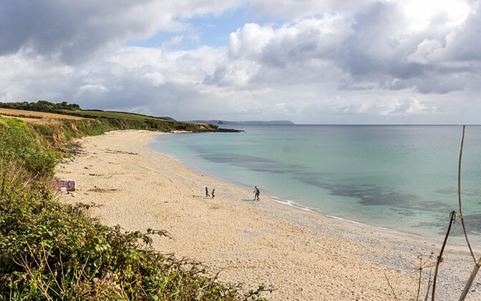 Towan Beach