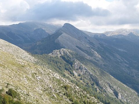 Photo: Spyenson, CC BY-SA 3.0, Wikimedia Commons