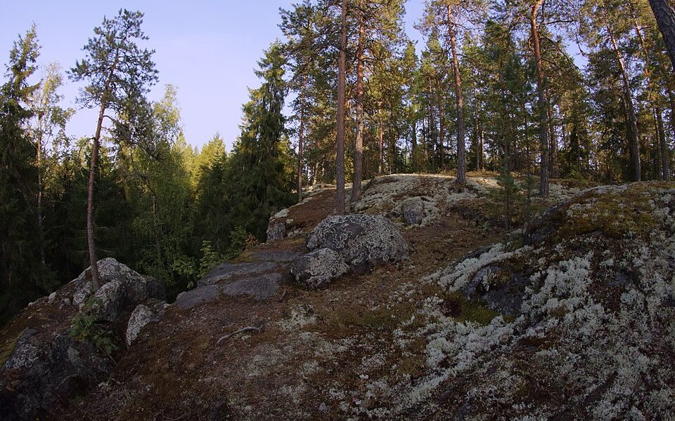 Unikonlinna