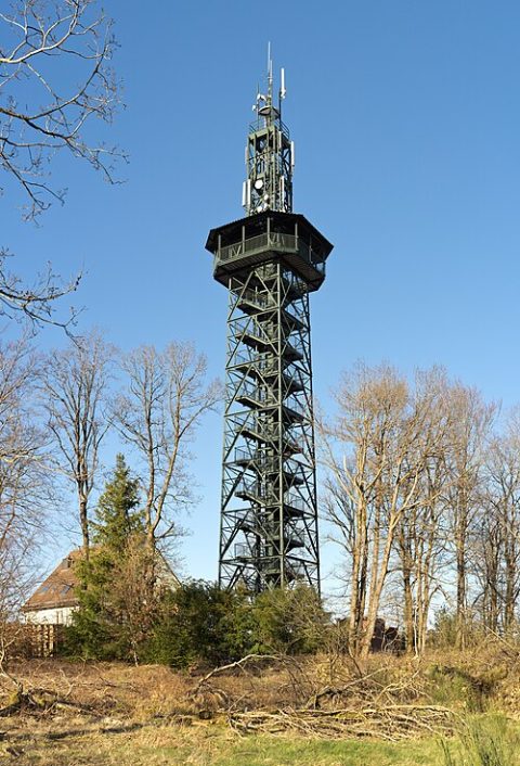 Photo: Jörg Braukmann, CC BY-SA 4.0, Wikimedia Commons