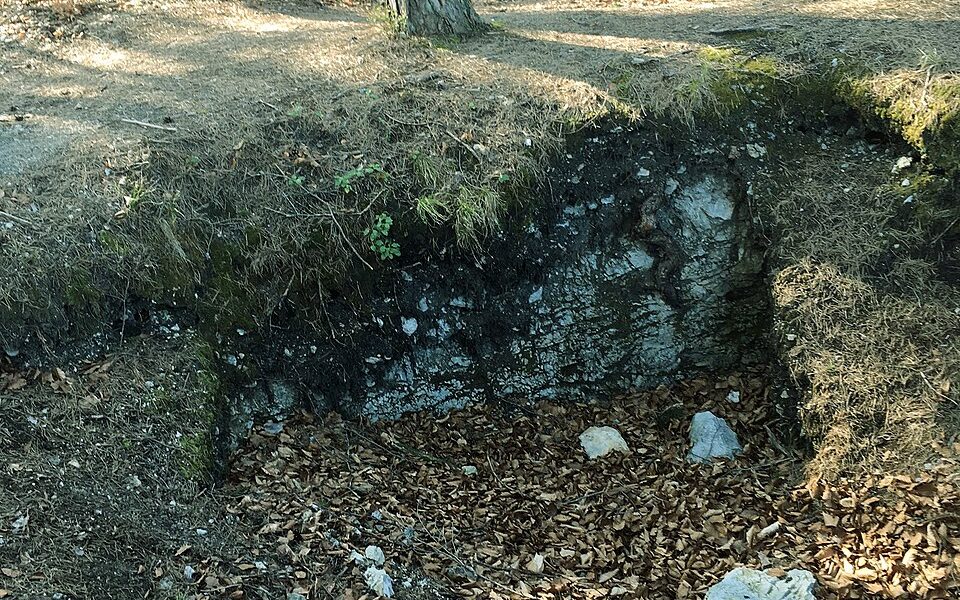 Fortification Wauberg