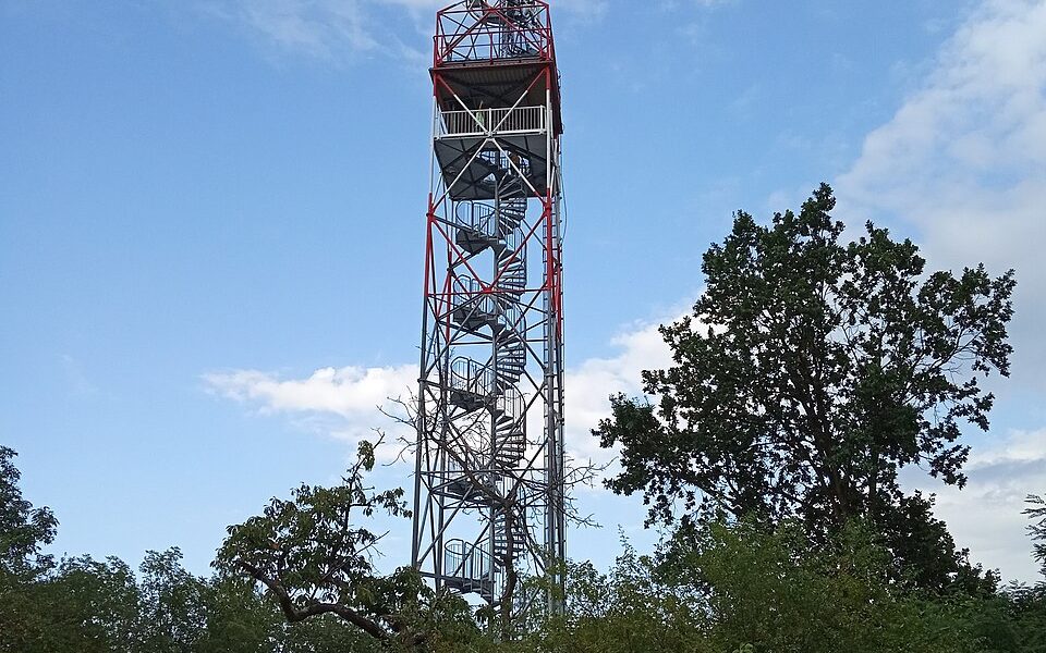 Vinice observation tower