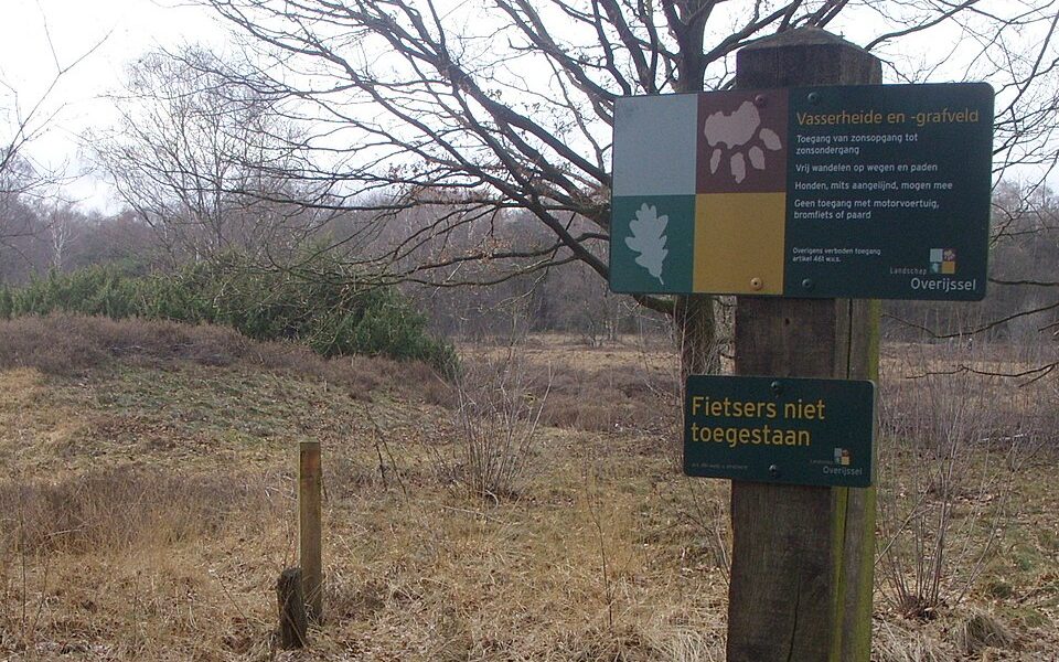 Vasserheide