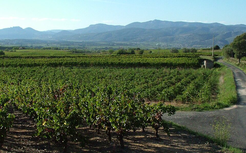 Mas de Daumas Gassac