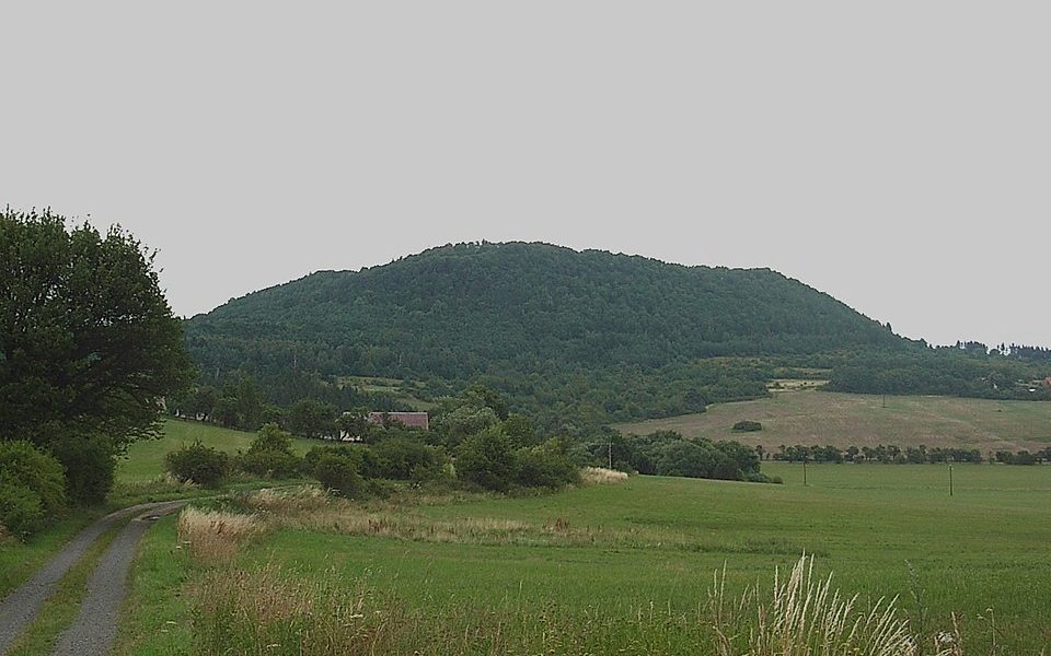 Vladař