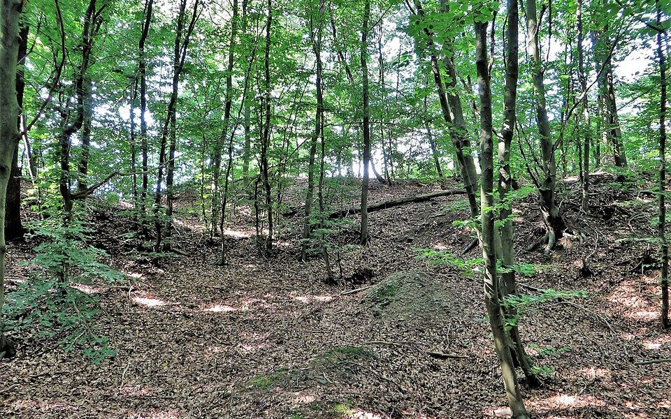 Wallburg Sieben Gräben