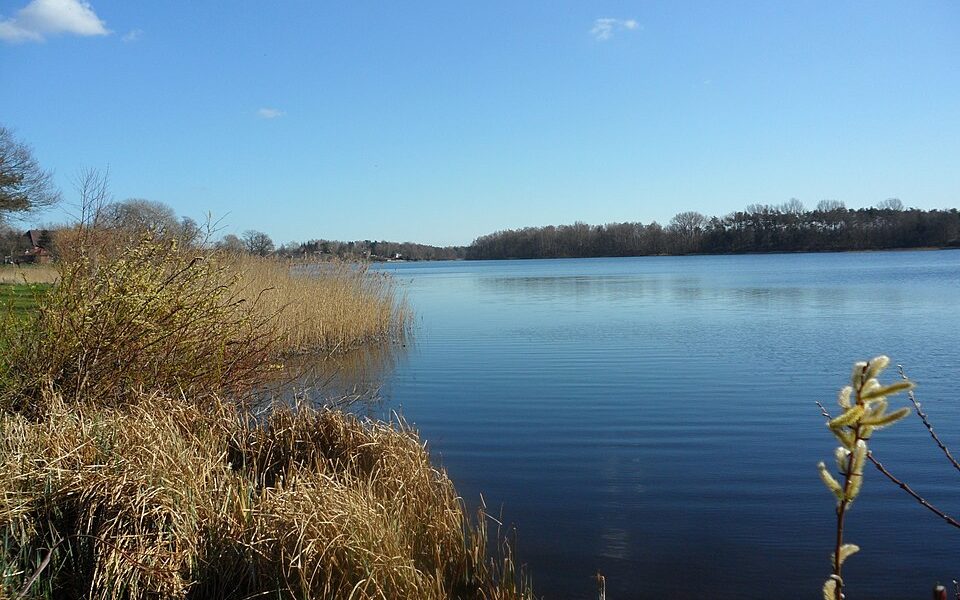 Wardersee